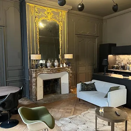 Luxueux 2 Pieces 65m2 Particulier Xvii Ieme Siecle-centre Historique Apartamento *