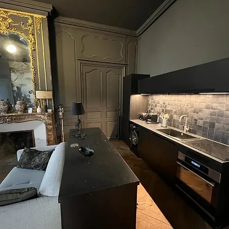 Διαμέρισμα Luxueux 2 Pieces 65m2 Particulier Xvii Ieme Siecle-centre Historique *