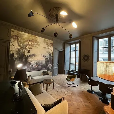 Apartamento Luxueux 2 Pieces 65m2 Particulier Xvii Ieme Siecle-centre Historique Clermont-Ferrand