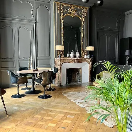 Luxueux 2 Pieces 65m2 Particulier Xvii Ieme Siecle-centre Historique Apartment