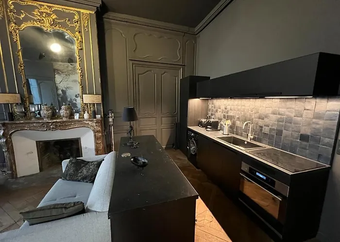 Apartamento Luxueux 2 Pieces 65m2 Particulier Xvii Ieme Siecle-centre Historique *