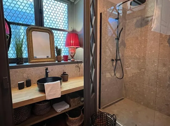 Luxueux 2 Pieces 65m2 Particulier Xvii Ieme Siecle-centre Historique Clermont-Ferrand