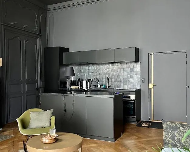 Apartament Luxueux 2 Pieces 65m2 Particulier Xvii Ieme Siecle-centre Historique Clermont-Ferrand