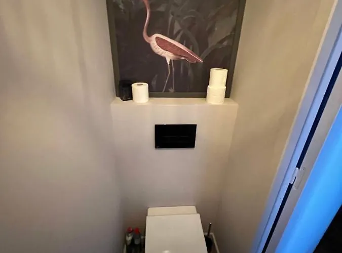 Luxueux 2 Pieces 65m2 Particulier Xvii Ieme Siecle-centre Historique Apartamento *